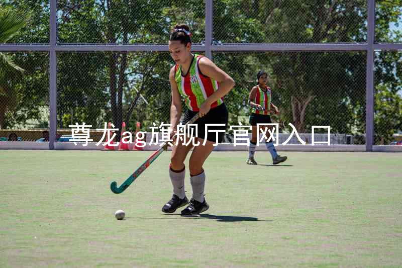 尊龙ag旗舰厅官网入口