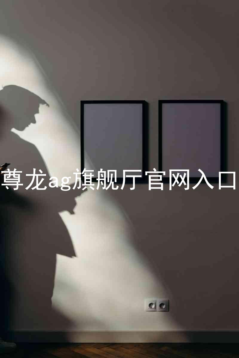 尊龙ag旗舰厅官网入口