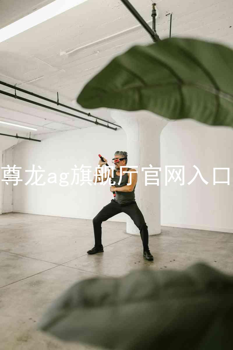 尊龙ag旗舰厅官网入口
