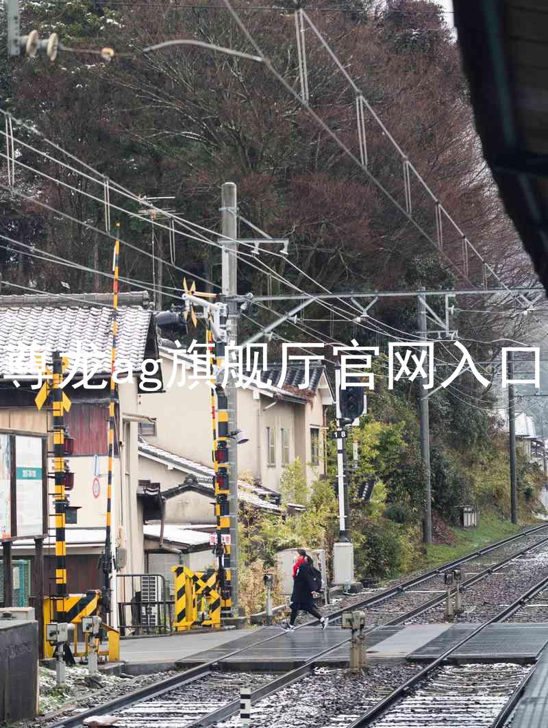 尊龙ag旗舰厅官网入口